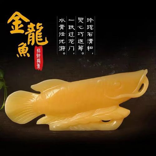 玉金龍魚圖片高清壁紙 玉金龍魚圖片高清壁紙 龍魚百科 第20張