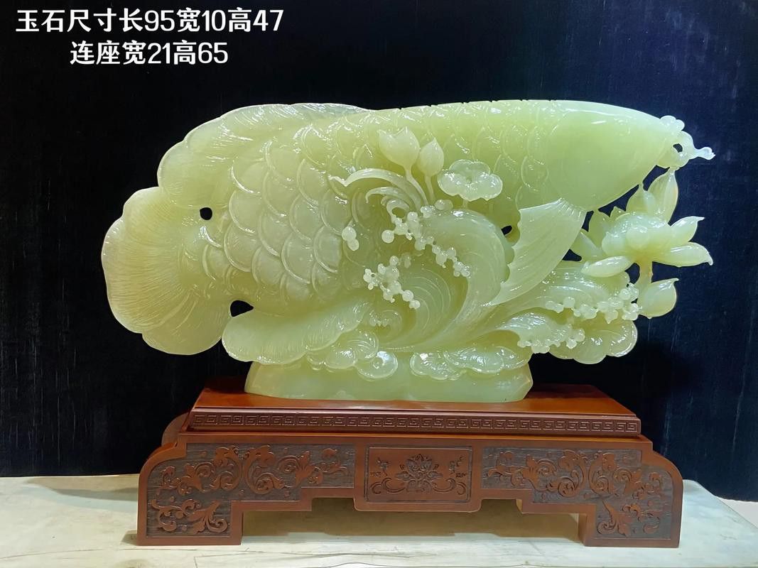 玉金龍魚圖片高清壁紙 玉金龍魚圖片高清壁紙 龍魚百科 第24張