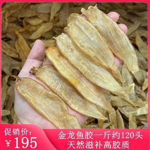 小金龍魚膠腥不腥