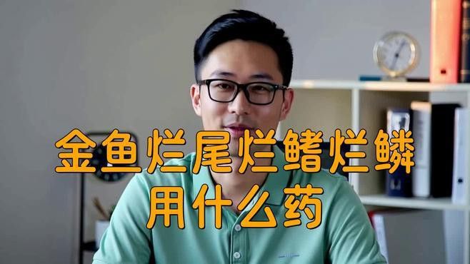 哪種特效藥對龍魚爛鰭最有效？ 哪種特效藥對龍魚爛鰭最有效？ 龍魚百科 第3張