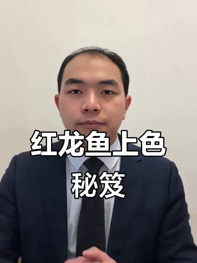 紅龍魚幼苗吃什么增色？ 紅龍魚幼苗吃什么增色？ 龍魚百科 第1張