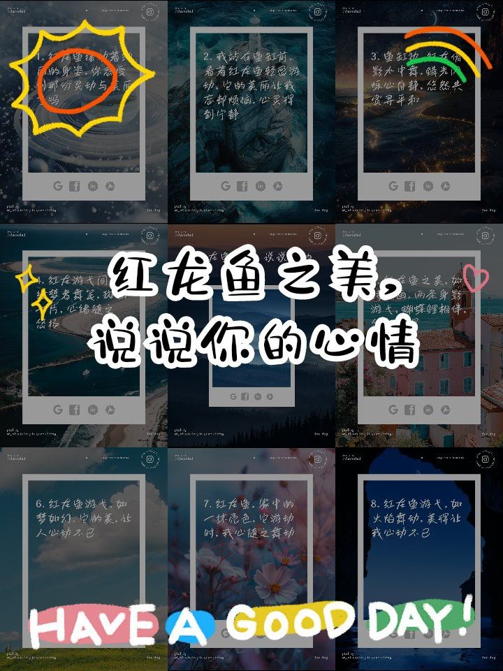 紅龍魚圖片高清 頭像女生