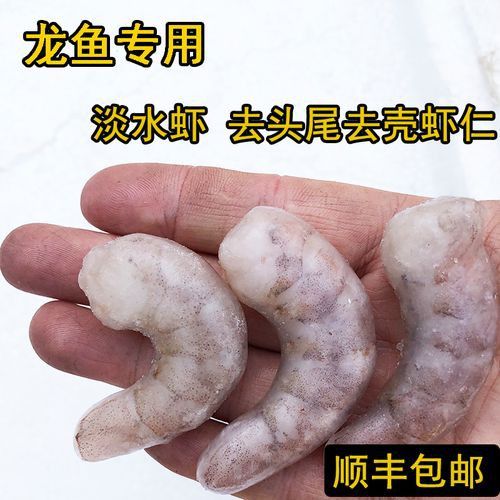 紅龍魚變色期間可以喂什么？