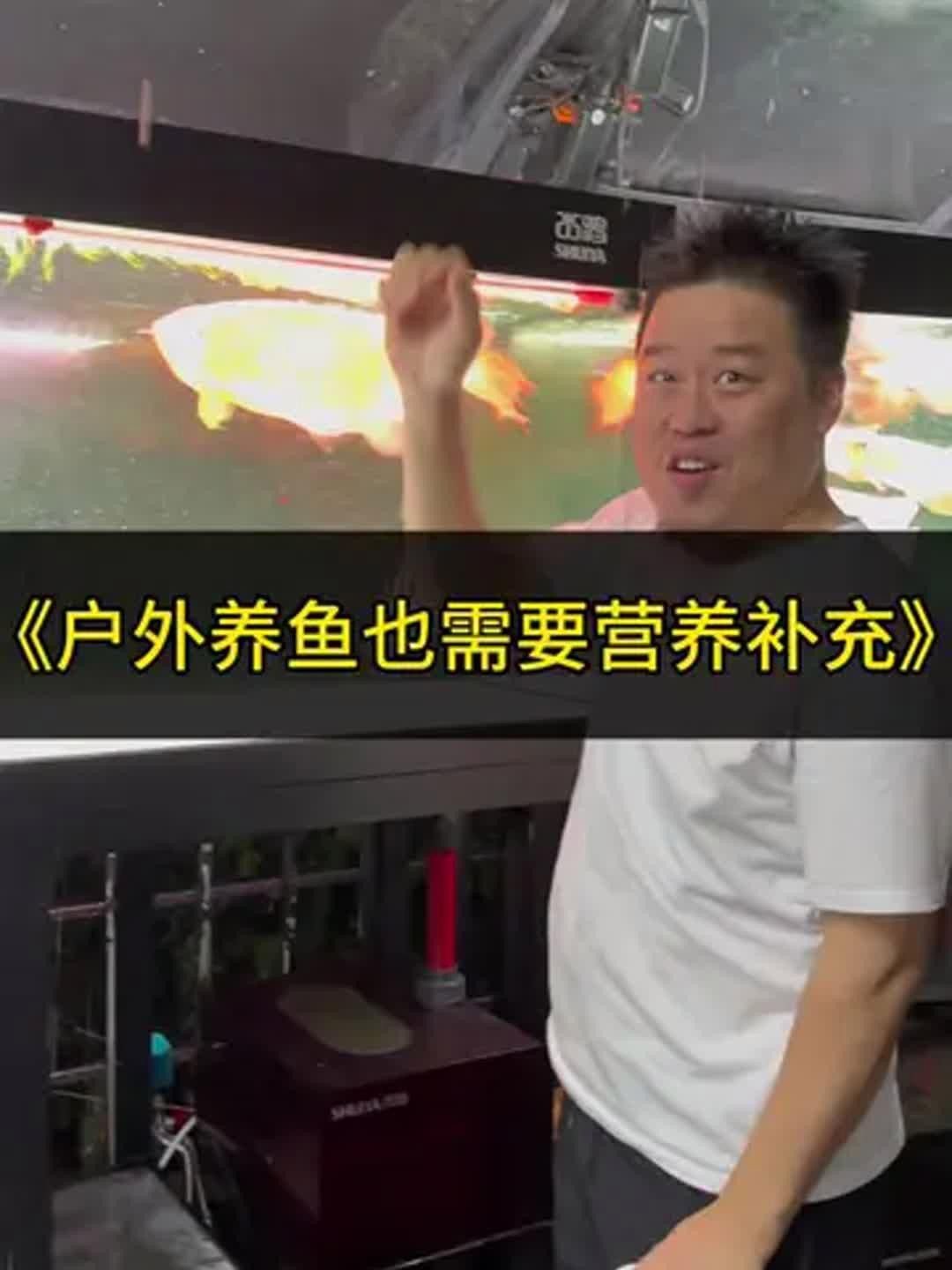 紅龍魚變色期間可以喂什么？