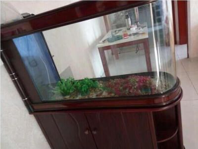 龍魚缸上過濾怎么做 龍魚百科 第4張 龍魚缸上過濾怎么做 龍魚缸上過濾怎么做 龍魚百科 第4張