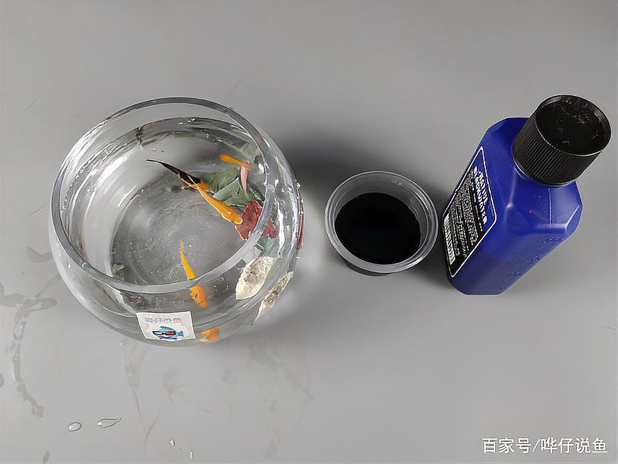 濃縮黑水素對龍魚有毒嗎 濃縮黑水素對龍魚有毒嗎 龍魚百科 第2張