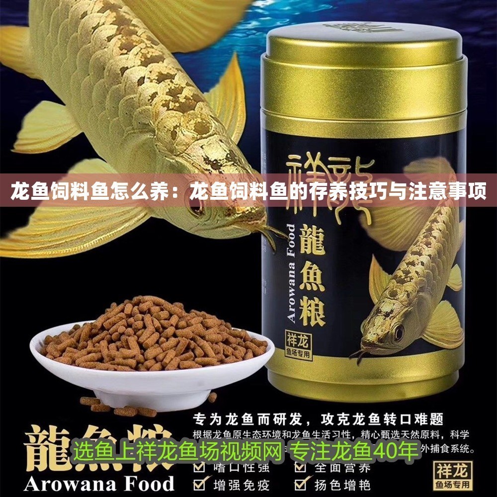 龍魚(yú)飼料魚(yú)怎么養(yǎng)：龍魚(yú)飼料魚(yú)的存養(yǎng)技巧與注意事項(xiàng)