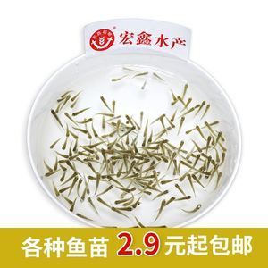 六角恐龍魚飼料吃進去又吐出來正常嗎，六角恐龍魚吃進去又吐出來的情況可能由多種因素引起
