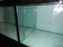 龍魚從舊缸換到新缸：龍魚從舊缸換到新缸過程中需要考慮以下幾個方面
