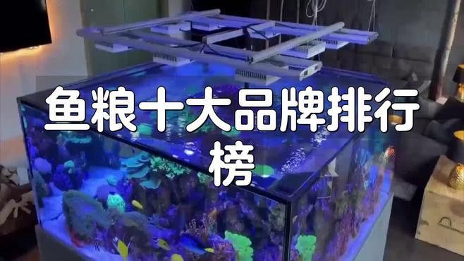 紅龍魚市場有哪些知名品牌？
