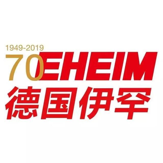 世界龍魚錦標賽的要求有什么（世界龍魚錦標賽虎魚比賽規則及看點介紹） 世界龍魚錦標賽的要求有什么（世界龍魚錦標賽虎魚比賽規則及看點介紹） 龍魚百科 第2張