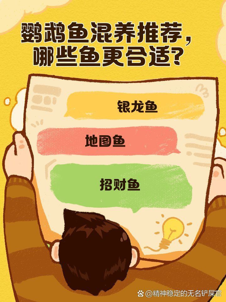 貓魚可以和鸚鵡魚混養(yǎng)嗎