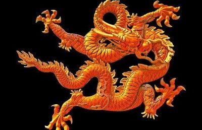 生肖龍養什么魚好養活：生肖龍的人適合養什么品種的魚？ 生肖龍養什么魚好養活：生肖龍的人適合養什么品種的魚？ 龍魚百科 第3張