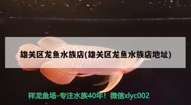 雄關(guān)區(qū)龍魚(yú)水族店(雄關(guān)區(qū)龍魚(yú)水族店地址) 雄關(guān)區(qū)龍魚(yú)水族店(雄關(guān)區(qū)龍魚(yú)水族店地址) 龍魚(yú)百科
