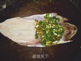 龍魚(yú)家常做法竅門(mén)是什么：清蒸龍魚(yú)香氣提升秘訣番茄龍魚(yú)酸甜口味調(diào)配竅門(mén)