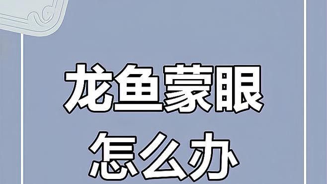 紅龍蒙眼病初期癥狀 紅龍蒙眼病初期癥狀 龍魚百科 第1張