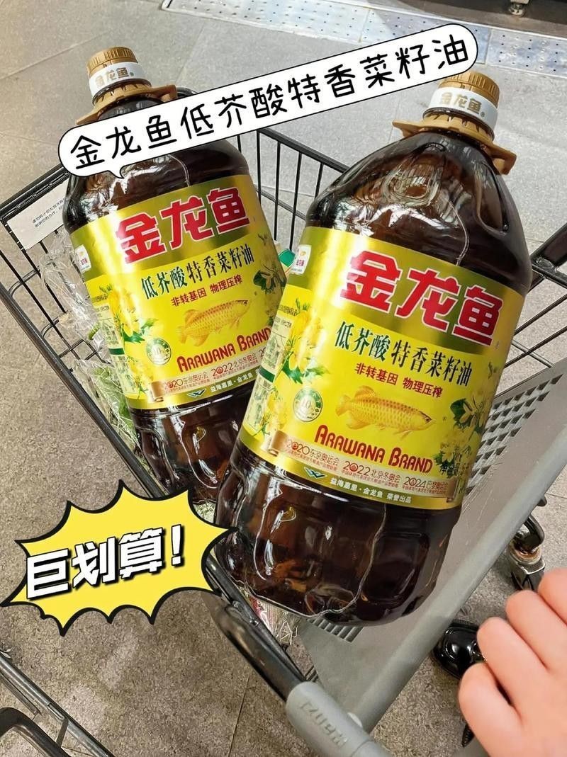 南寧龍魚上門回收價格表圖片 南寧龍魚上門回收價格表圖片 龍魚百科 第20張