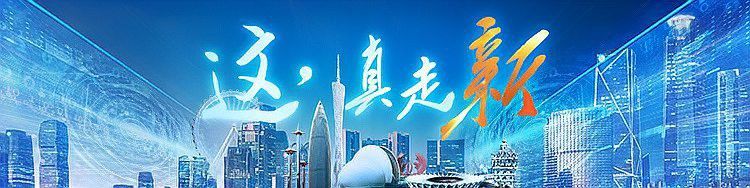 深圳龍魚無人機哪一家公司生產的