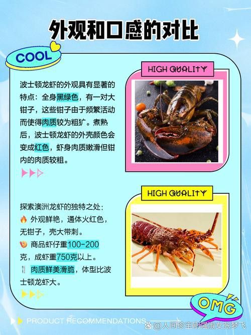 如何區分澳龍與波龍？
