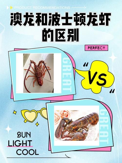 如何區分澳龍與波龍？