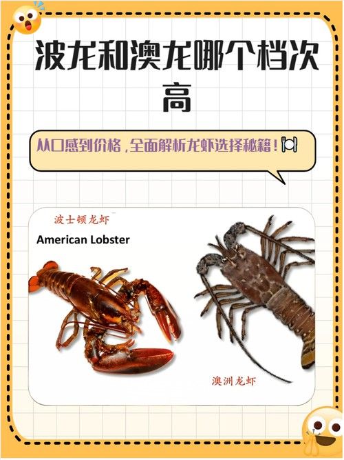 如何區分澳龍與波龍？