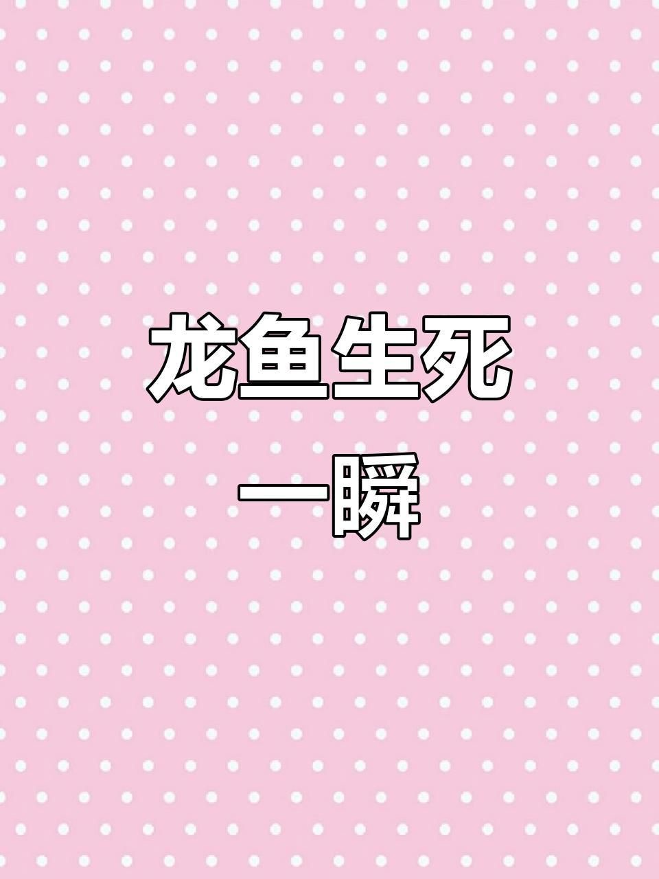 龍魚突然翻肚什么原因 龍魚突然翻肚什么原因 龍魚百科 第6張