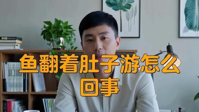 龍魚突然翻肚什么原因 龍魚突然翻肚什么原因 龍魚百科 第4張