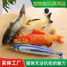 小火龍魚有哪些互動(dòng)玩具