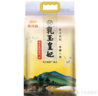 紅龍魚背景選什么顏色最好看圖片欣賞（紅龍魚背景選什么顏色最好看圖片欣賞大全）