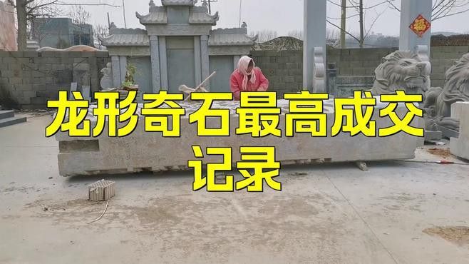 玉石龍的價格范圍是多少？