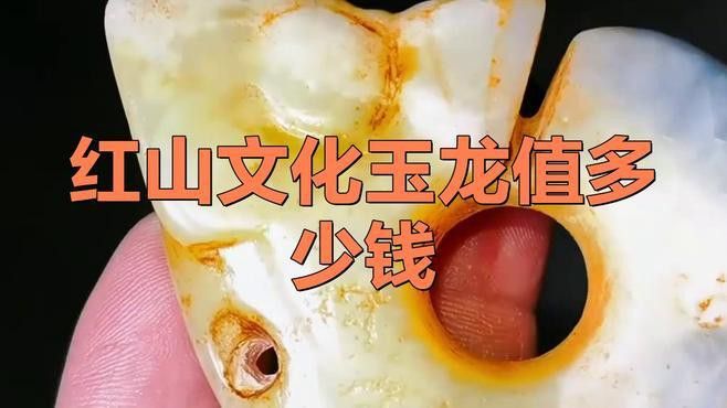 玉石龍的價格范圍是多少？