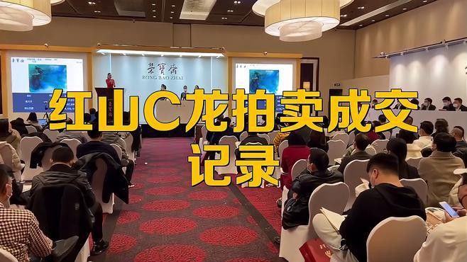 玉石龍的價格范圍是多少？