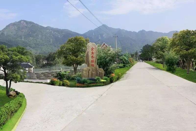 金龍魚漁場最出名的三個(gè)地方
