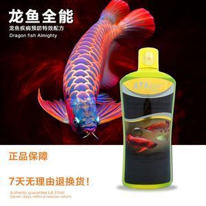 BTL龍魚：btl龍魚是一種什么品種的紅龍？