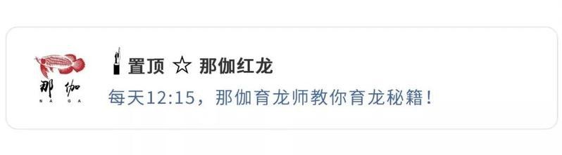 龍魚誘色燈與普通燈有什么分別