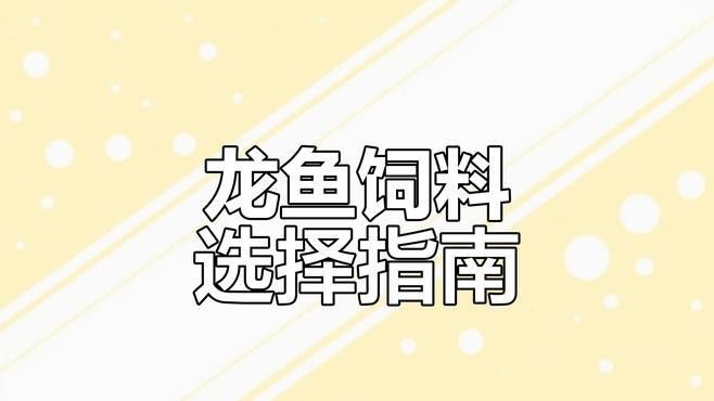 如何預防龍魚腸炎的發生？