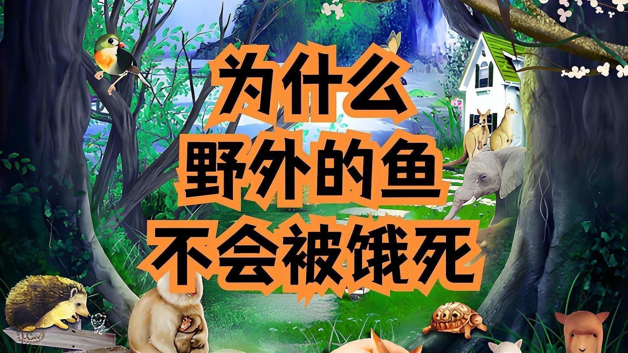 給我一些七彩龍魚和銀龍魚的圖片