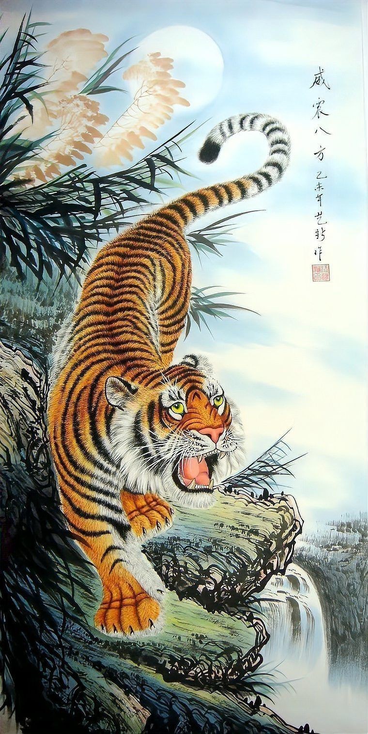 老虎圖片大全大圖 老虎圖片大全大圖 龍魚百科 第25張