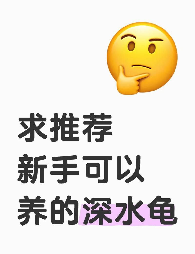 40公分寬魚缸需要多大的過濾系統？