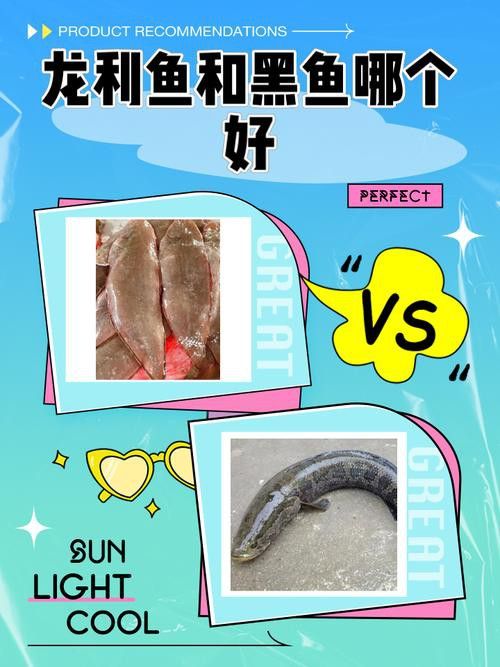 純黑色的龍魚