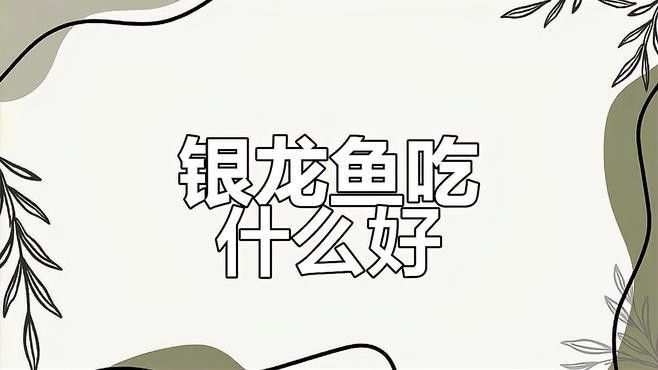有哪些市面上的銀龍魚飼料推薦？