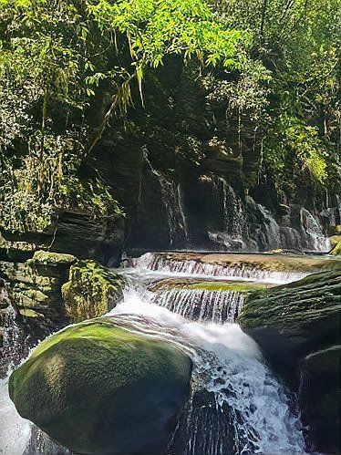 中國本土龍魚最出名的三個地方 中國本土龍魚最出名的三個地方 龍魚百科 第1張