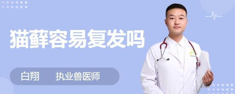 龍貓真菌感染會復發嗎？ 龍貓真菌感染會復發嗎？ 龍魚百科 第1張