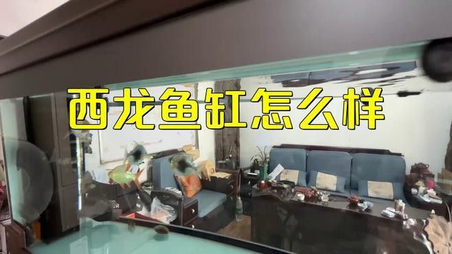 西龍魚缸怎么使用