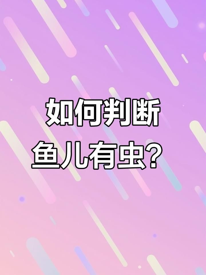 如何判斷魚是否感染寄生蟲？ 如何判斷魚是否感染寄生蟲？ 龍魚百科 第6張