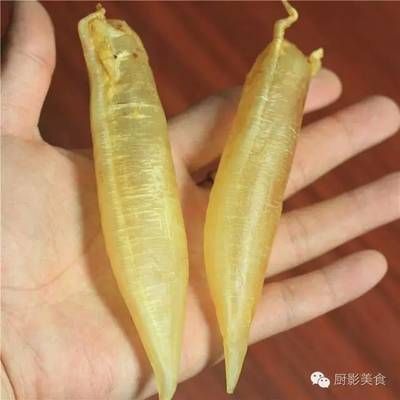金龍魚是黃花魚：金龍魚并非黃花魚,金龍魚是黃花魚, 金龍魚是黃花魚：金龍魚并非黃花魚,金龍魚是黃花魚, 龍魚百科 第3張