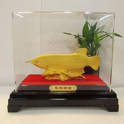 金龍魚24k是什么意思【金龍魚24k代表什么】 金龍魚24k是什么意思【金龍魚24k代表什么】 龍魚百科 第4張