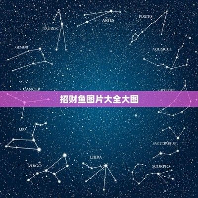 十大招財魚圖片