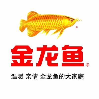 金龍魚質(zhì)量檢驗(yàn)崗位有哪些內(nèi)容：金龍魚質(zhì)檢員技能提升方法金龍魚質(zhì)檢崗位招聘要求 金龍魚質(zhì)量檢驗(yàn)崗位有哪些內(nèi)容：金龍魚質(zhì)檢員技能提升方法金龍魚質(zhì)檢崗位招聘要求 龍魚百科 第3張