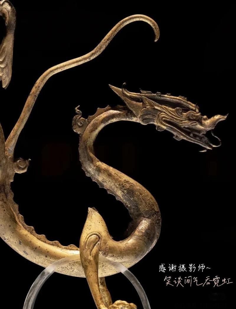 哪里可以找到高清的銅龍圖片？